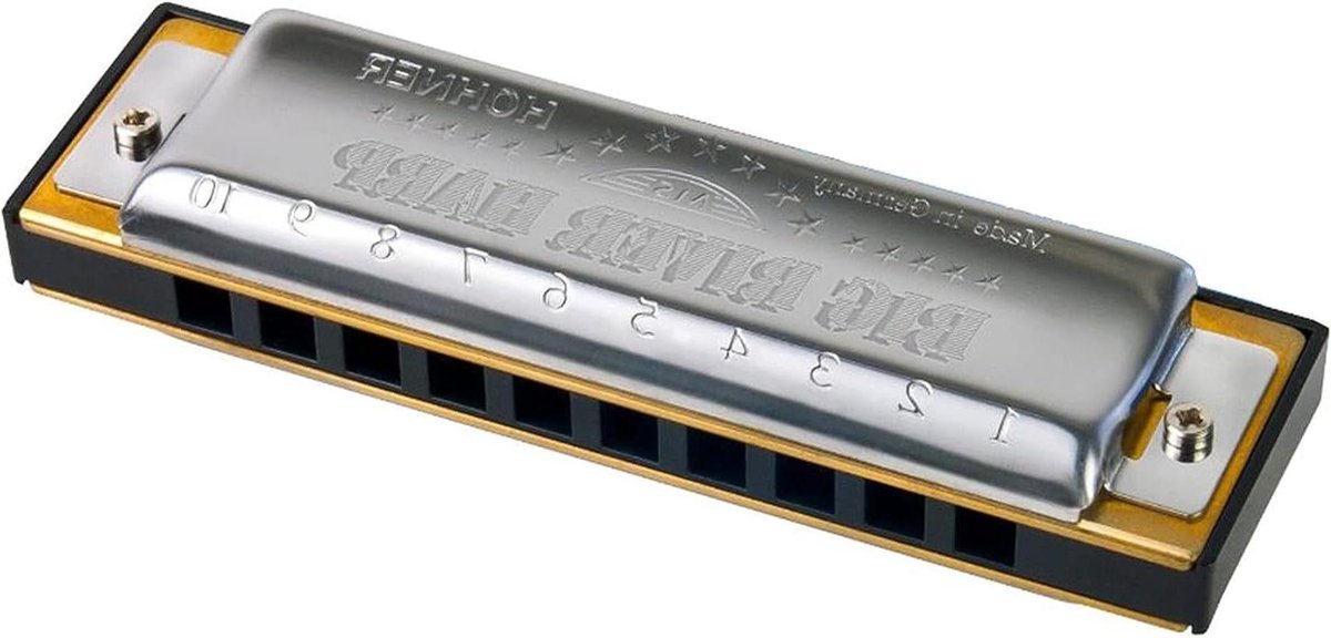 Diatonische Mondharmonica - Folk Harmonica - Muziek Maken - Messing Stemplaten - 22 cm - Zilver