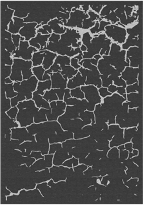 Human Comfort Avord - Buitenkleed - UV-bestendig - Sneldrogend - Schimmelbestendig - 160 x 230 cm van Human Comfort — afbeelding 2