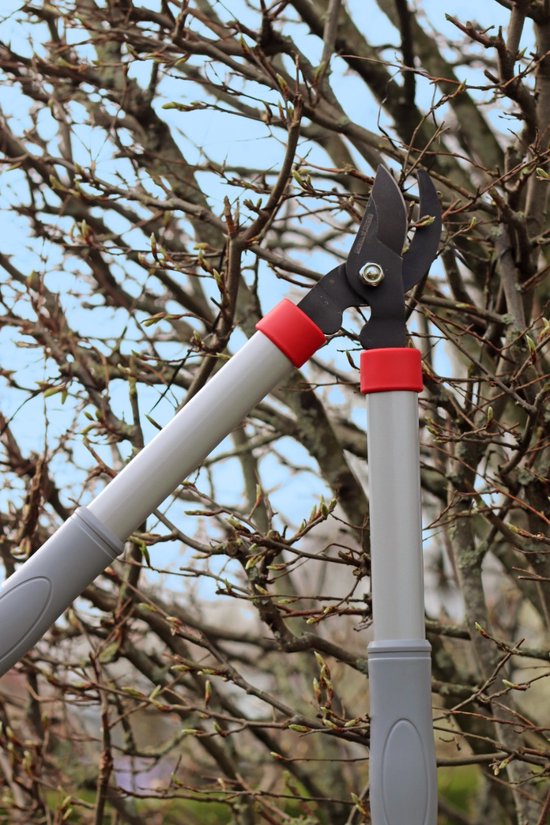 Talen Tools - Snoeiset - Takkenschaar - Snoeischaar - Koolstofstalen messen van Talen Tools — afbeelding 4