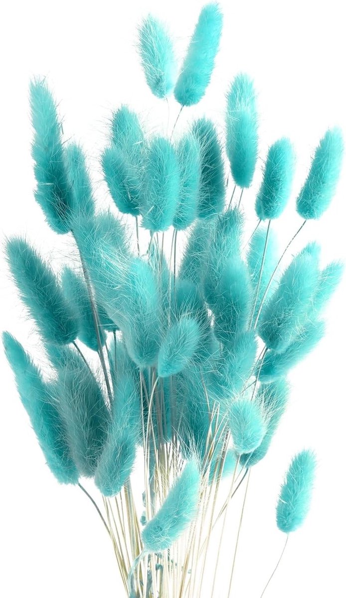 Fluffy Pampasgras Stelen voor Decoratie - 50 Stuks Droogbloemen voor Slaapkamer, Tafel en Muur (Licht Tiffany Blauw)