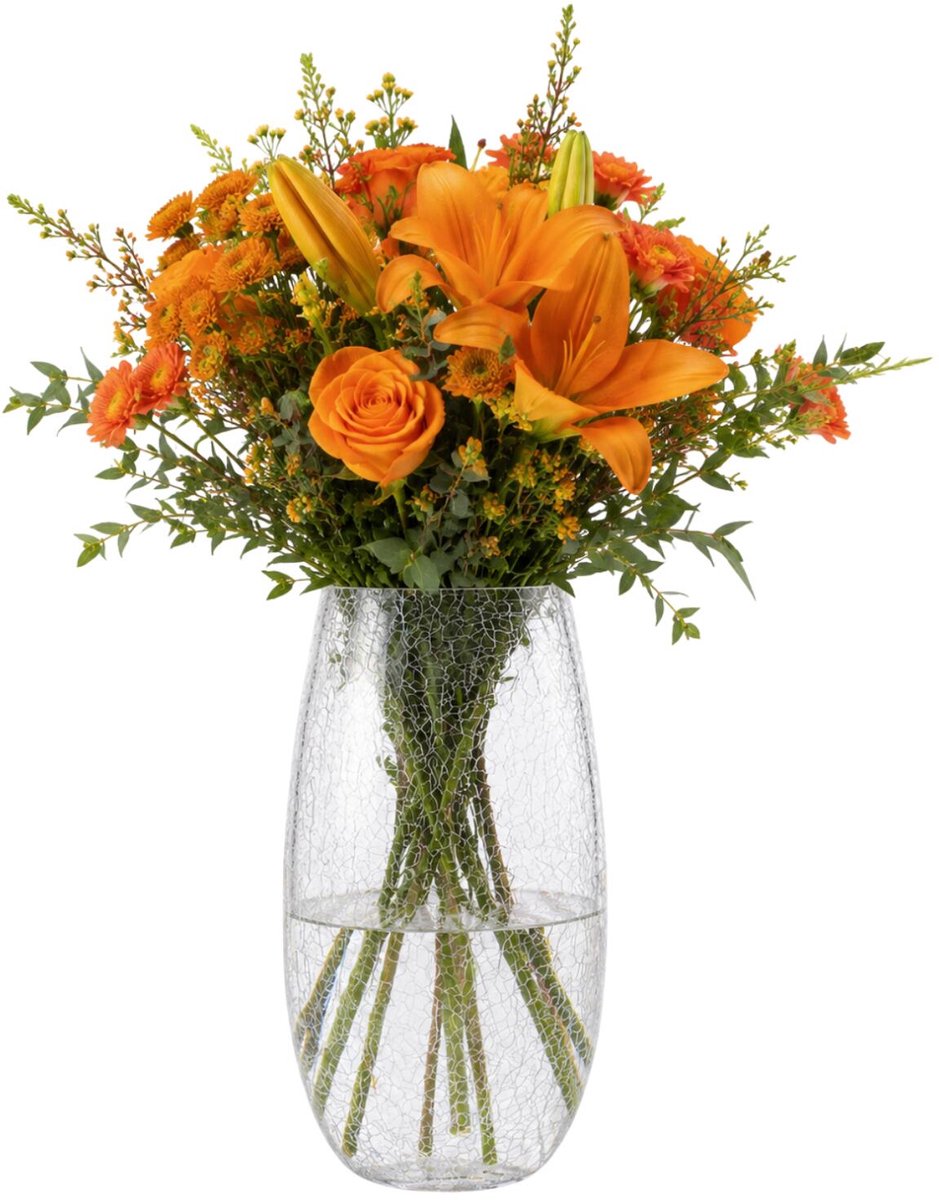 Atmosphera Bloemenvaas Frosted - bewerkt krakelee glas - D14 x H27 cm - taps - boeketvaas - 3 liter - Moderne stijl Transparant