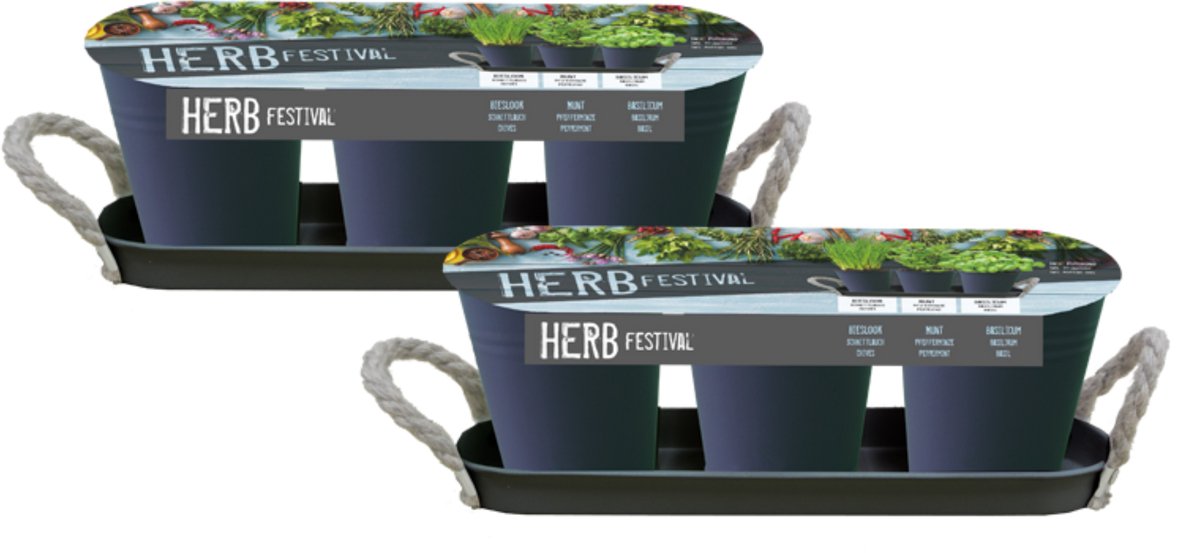 Herb Festival - 3 (Grijs)