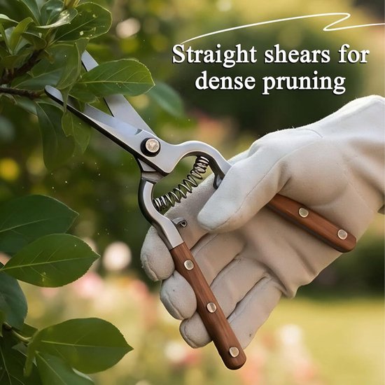 Tuin Snoeischaren - Handgereedschap Set - Takken Snoeien - Roestwerende Coating - 2 Stuks - Niet gespecificeerd — afbeelding 4