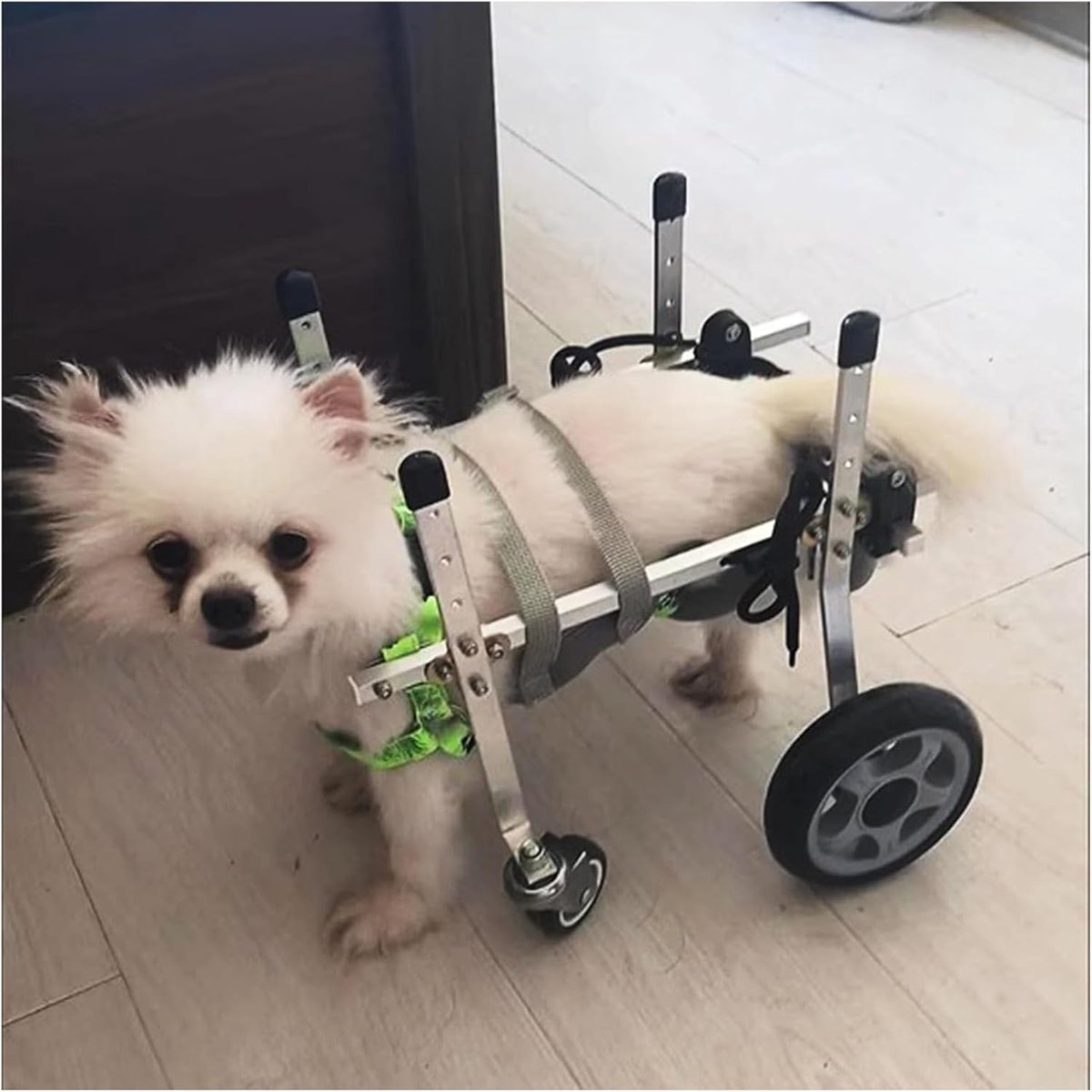 Rolstoel voor huisdieren - Honden mobiliteitshulp - Huisdier revalidatie - Verstelbaar en lichtgewicht - XXS tot L - Zilverkleurig