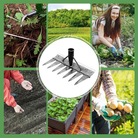 Tuinhark Metaal - Gazonhark Onkruidsteker - Tuinonderhoud Uitvoeren - Dubbelzijdig Ontwerp - 7 Tanden - Grijs — afbeelding 3