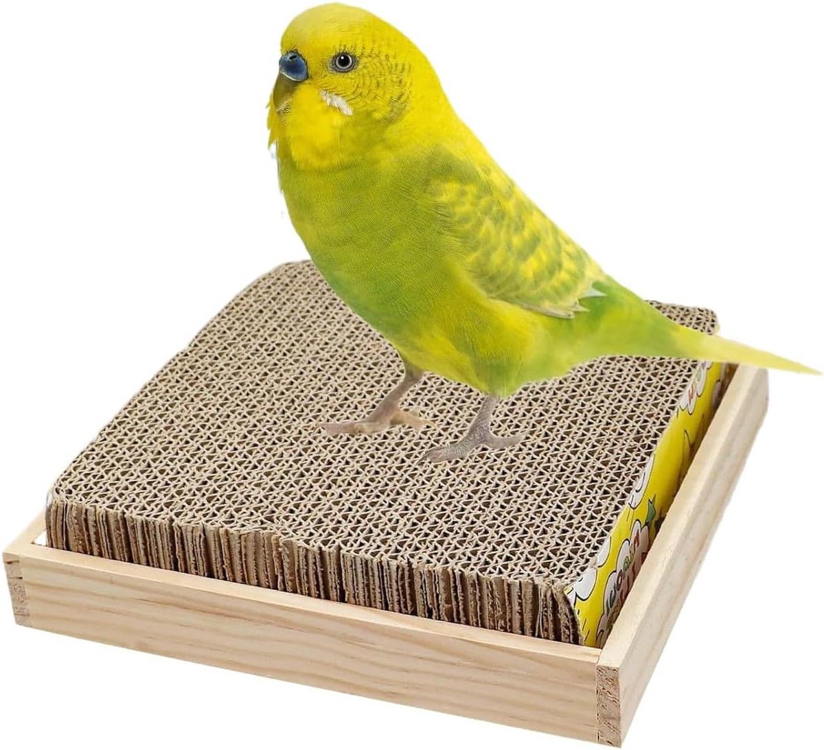 Vogelkooi Zitstok - Knaagspeelgoed Vogel - Vogel Welzijn - Natuurlijk Hout Karton - 22 x 22 x 6 cm