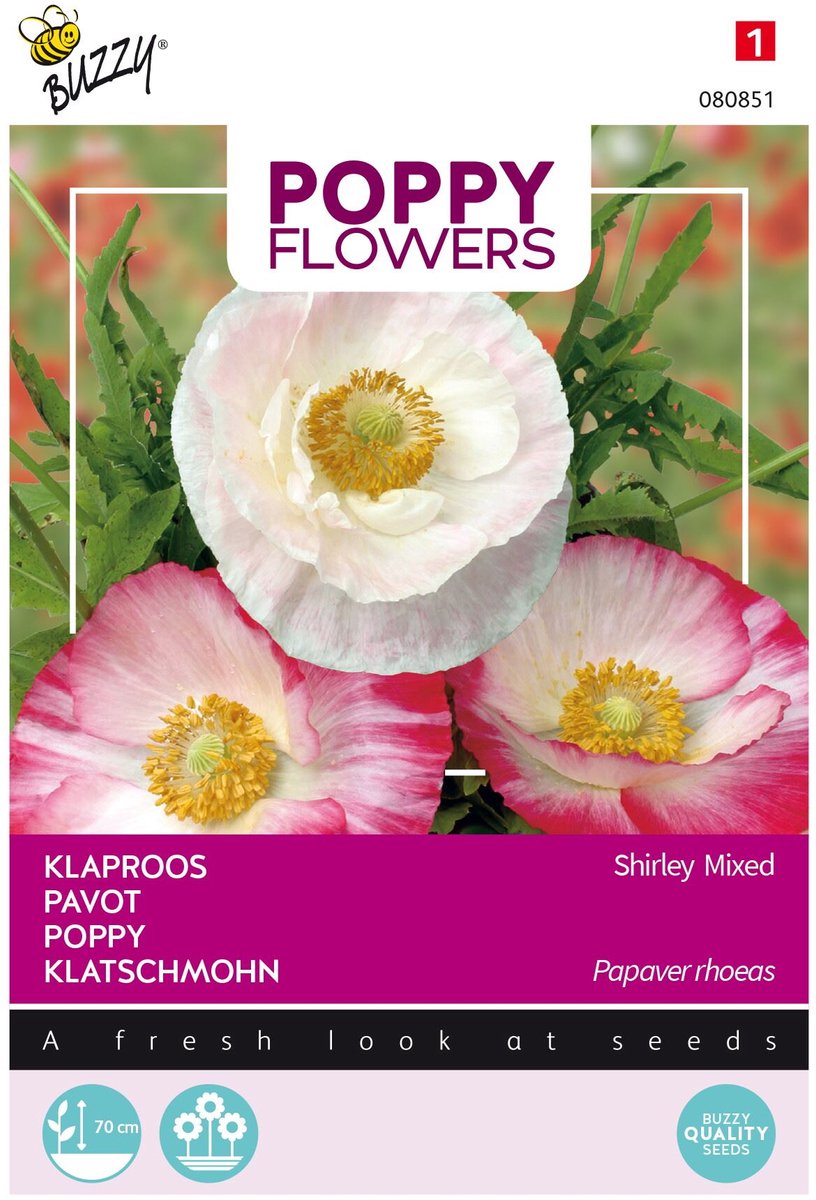 Poppies Of The World Klaproos Bloemzaad - Gemengd