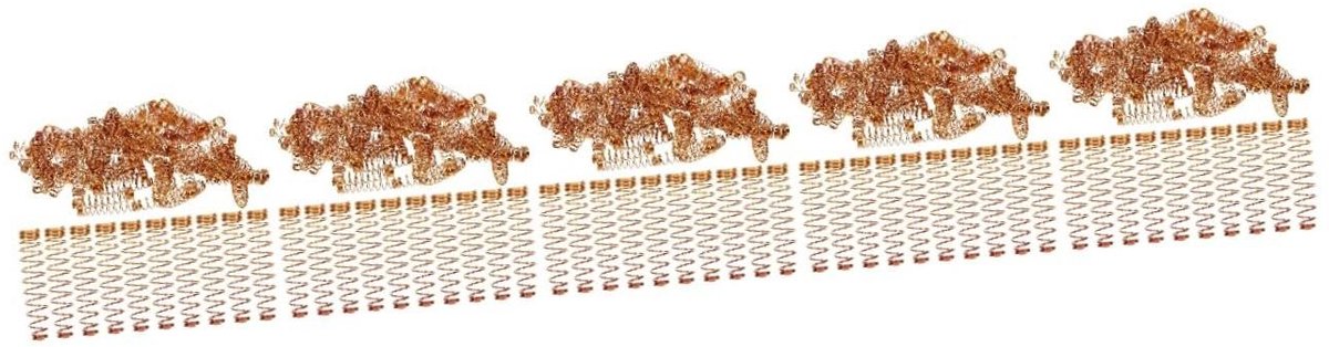 Drukveren Set - Compressieveren Assortiment - Reparatie Projecten - Koperen Materiaal - 450 stuks - Goud