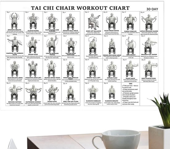 Stoel Yoga Plan - Oefen Poster - Thuis Fitness - Senioren Vriendelijk - 45 x 30 cm - Meerkleurig — afbeelding 5