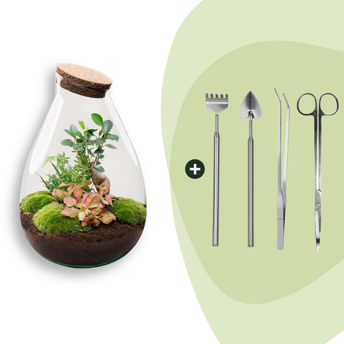 Terrarium - Drop XL - ↑ 37 cm - Ecosysteem plant - Kamerplanten - DIY planten terrarium - Mini ecosysteem + Hark + Schep + Pincet + Schaar