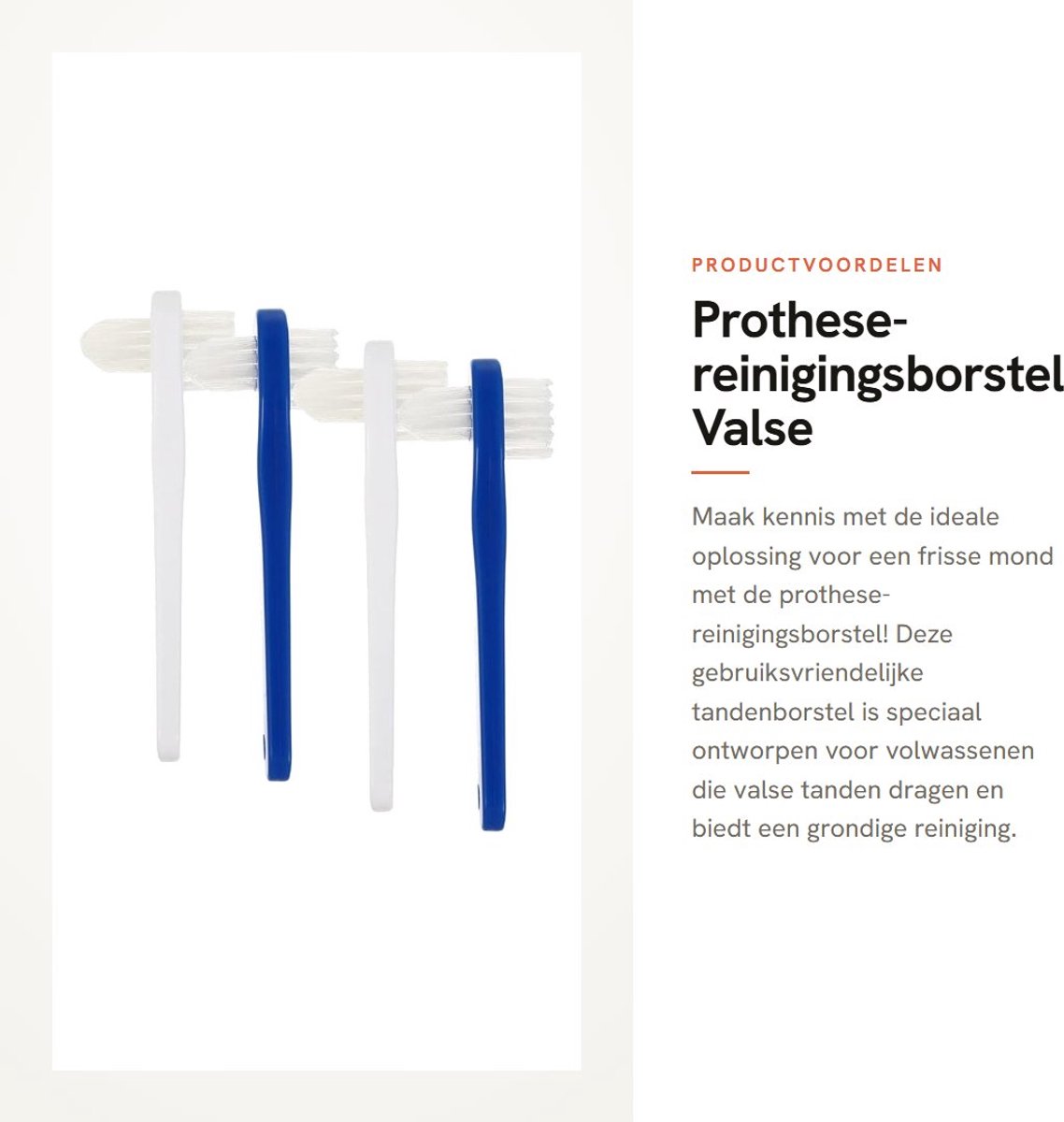 Dailygoods- Prothese-reinigingsborstel 4 stuks - Draagbare Valse Tandenborstel - Dubbelzijdige Borstels - Ergonomisch Handvat - Geschikt voor Volwassenen - Schuine Borstelkop