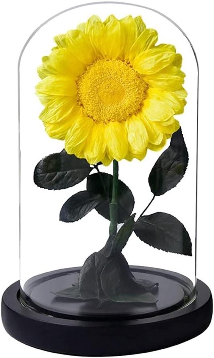 Zonnebloemen in Glazen Koepel - Eeuwige Bloemen Bewaarde Zonnebloemen - Huisdecoratie - Bewaard met LED-licht - 14 x 22 cm