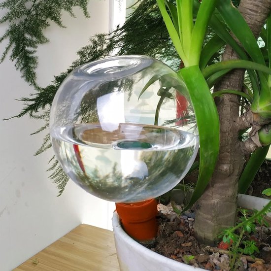 Bollen voor irrigatie, waterballonnen voor kamerplanten, irrigatieapparaten voor planten, automatisch irrigatieapparaat voor balkon, binnen, voor bloempotten — afbeelding 3