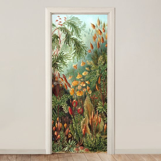 Sticker de porte Muscinae - Art - Maîtres anciens - 80x205 cm - Affiche de porte