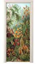 Sticker de porte Muscinae - Art - Maîtres anciens - 75x205 cm - Affiche de porte
