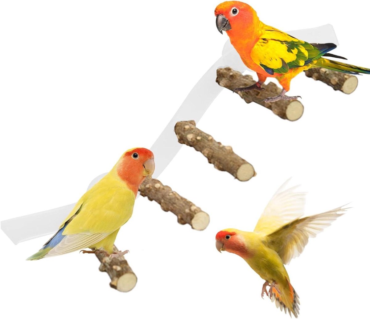 Vogel zitstang - Parkieten speelplaats - Douchen en spelen - Veilige zuignap - 38 x 10 cm - Houtkleur