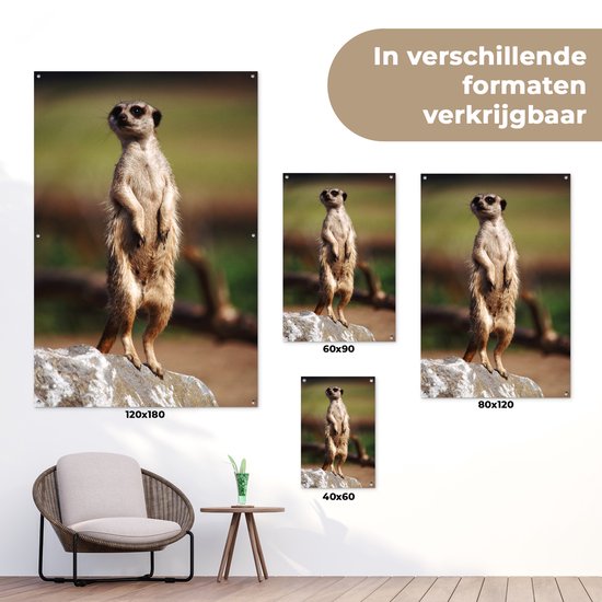 Affiche de jardin suricate regarde autour de 60x90 cm - Toile de jardin / Toile d'extérieur / Peintures d'extérieur (décoration de jardin)