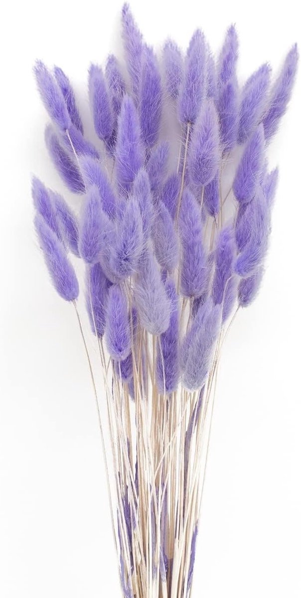 50 Sticks Pampasgras Droogbloemen Geurloos Nooit Verwilten Boho Decoratie Extra Fluffy Huishoudaccessoires (Licht Paars)