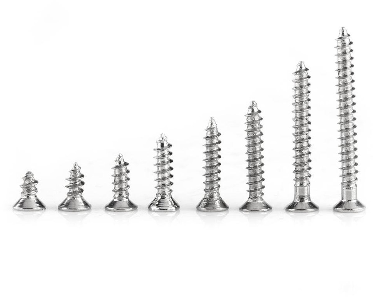 Dailygoods - Dailygoody - Schroeven set - M2 zelftappende schroeven - 800 stuks - Nickel plated carbon steel - Assortiment houtschroeven - Geschikt voor diver