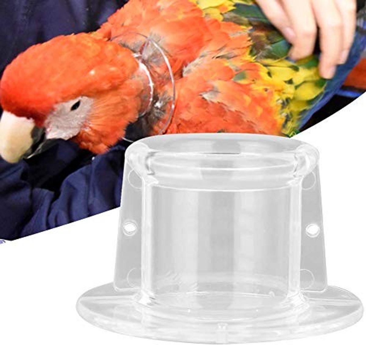 Dailygoody - Parrot Collars - Bird Recovery Kegels - Transparant - Vogelbescherming - Geschikt voor vogels - Maat M