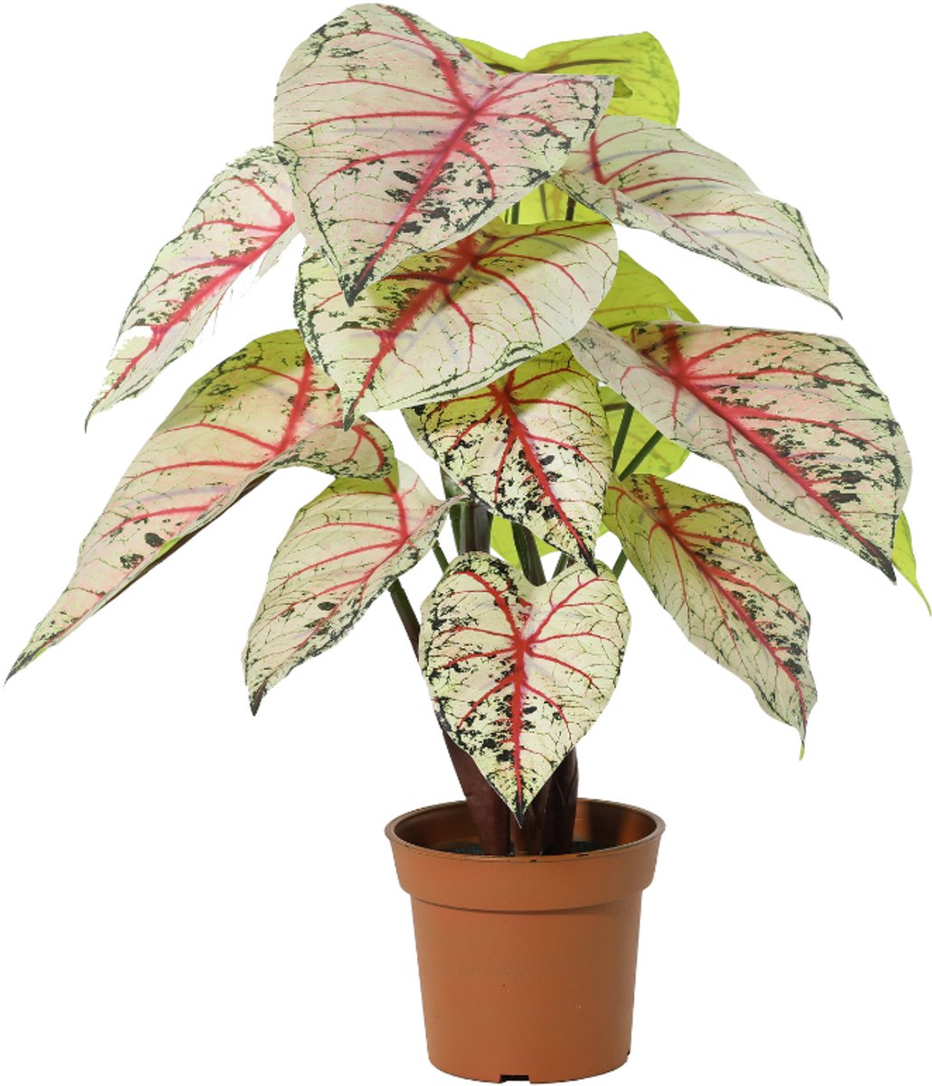 Trendyplants - Kunst Caladium White / Pink - Olifantsoor - Kunstplant - Hoogte 57cm - Potmaat Ø15cm