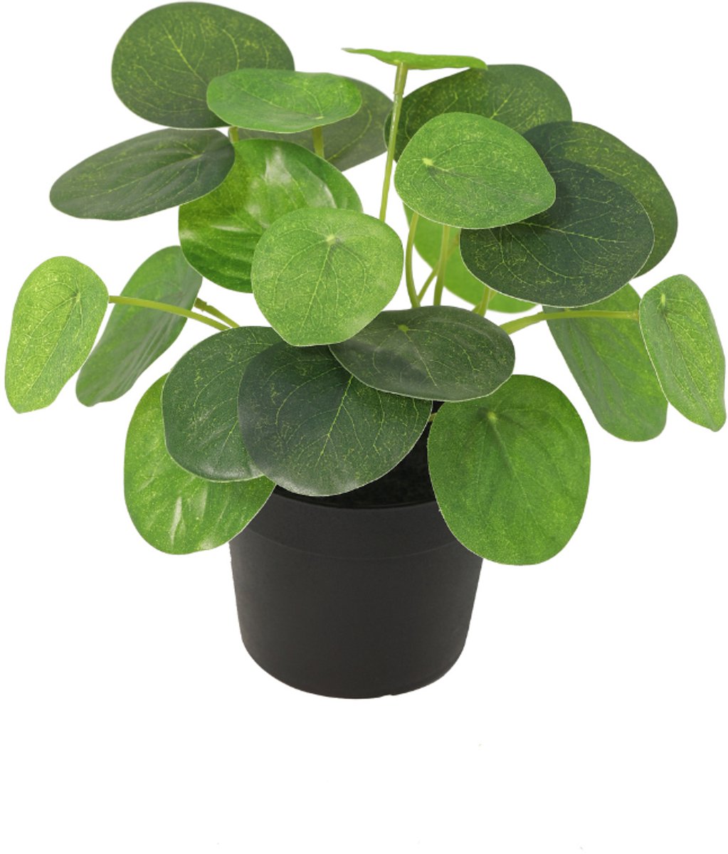 Trendyplants - Kunst Pilea Peperomioides - Pannenkoekenplant - Kunstplant - Hoogte 17,5cm - Potmaat Ø8cm