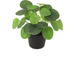 Trendyplants - Kunst Pilea Peperomioides - Pannenkoekenplant - Kunstplant - Hoogte 17,5cm - Potmaat Ø8cm