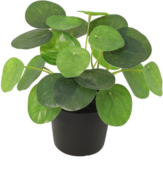 Pilea Peperomioides artificielle dans un pot noir, sur fond blanc.