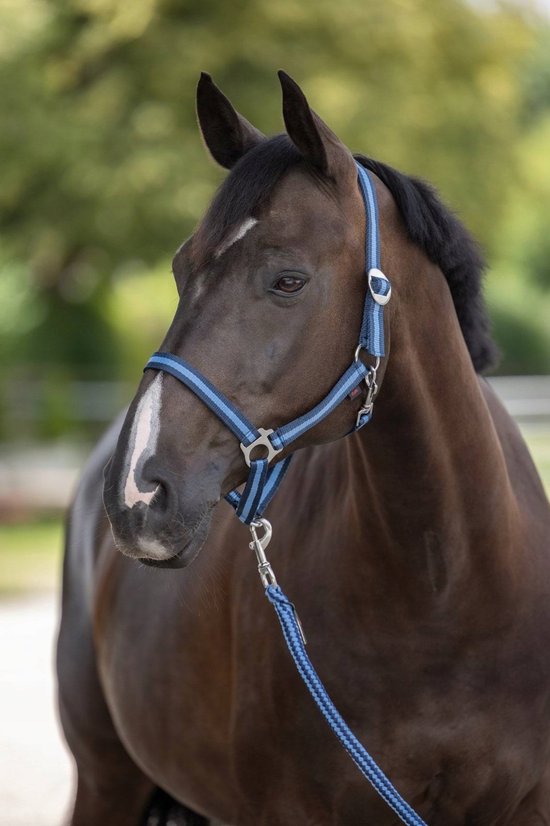 Covalliero Hippo Hoofdband Paard - Blauw/Marine - (Cob) Covalliero Hippo Hoofdband Paard - Blauw/Marine - (Cob)