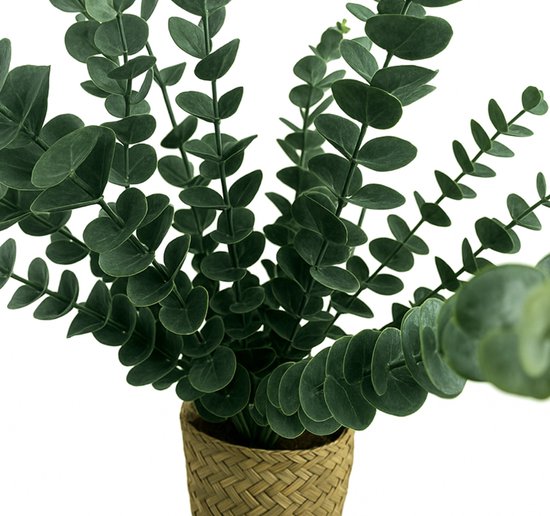 Gros plan détaillé d'une plante artificielle d'eucalyptus dans un panier tressé. Les feuilles rondes et vertes sont densément disposées sur les tiges.