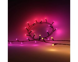 Philips Hue White and Color ambiance Festavia lichtslinger 8 meter 100 LED lampjes