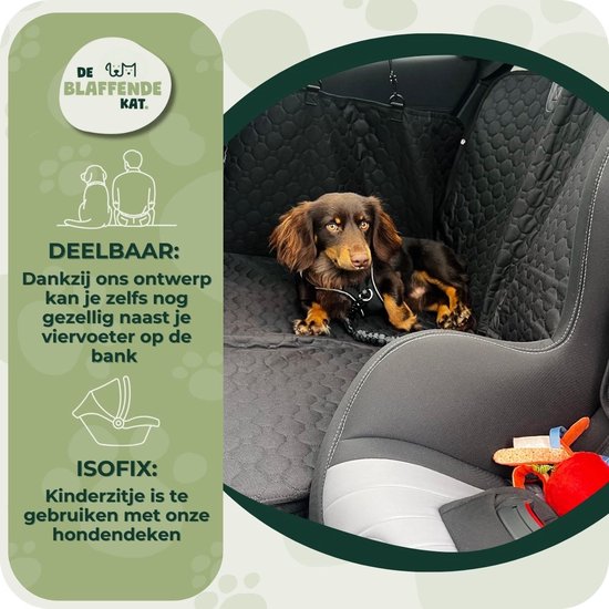 Bruine teckel met tuigje op de hondendeken in de auto. Kinderzitje kan ook.