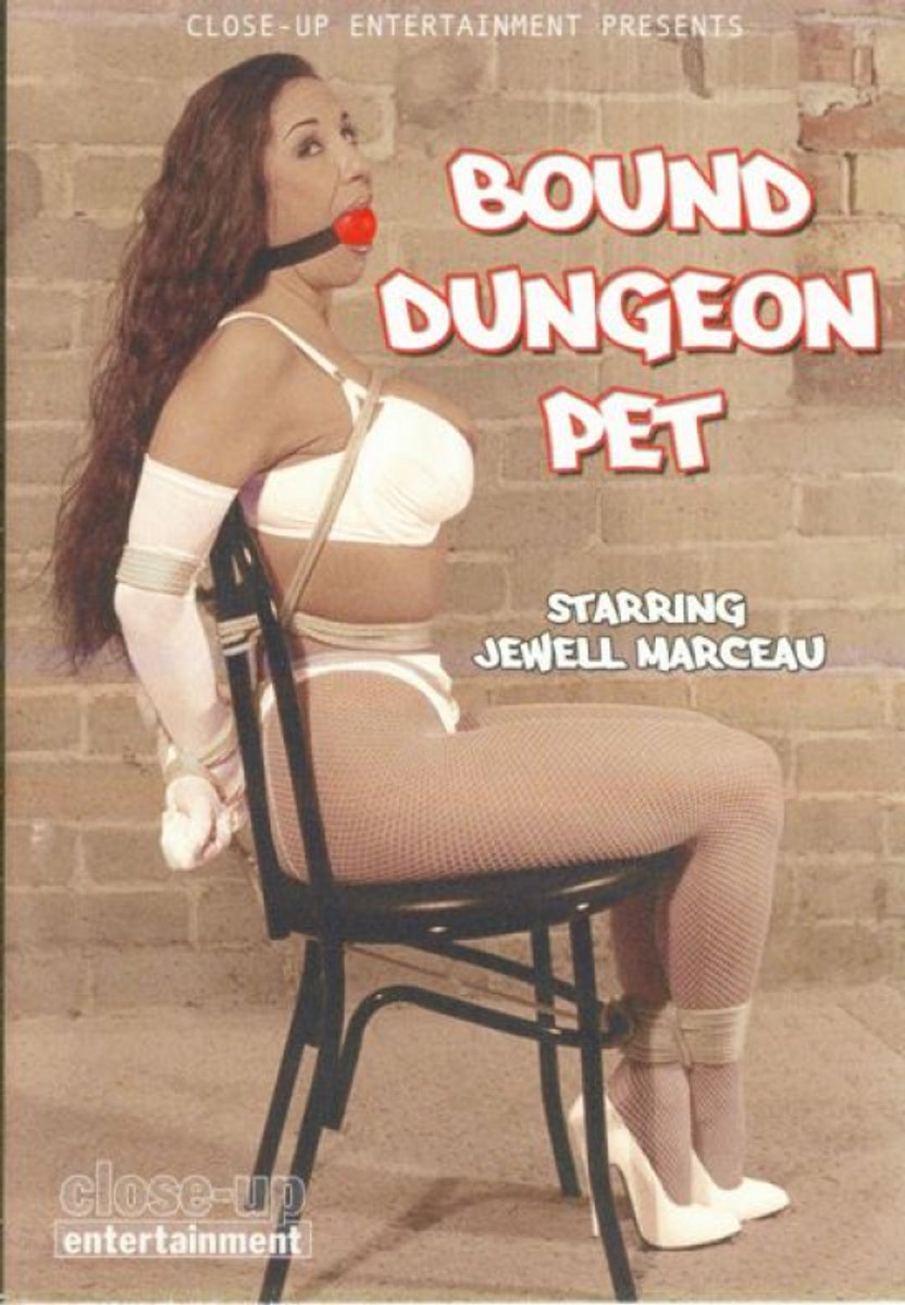 Dungeon Bound Pet - BDN103