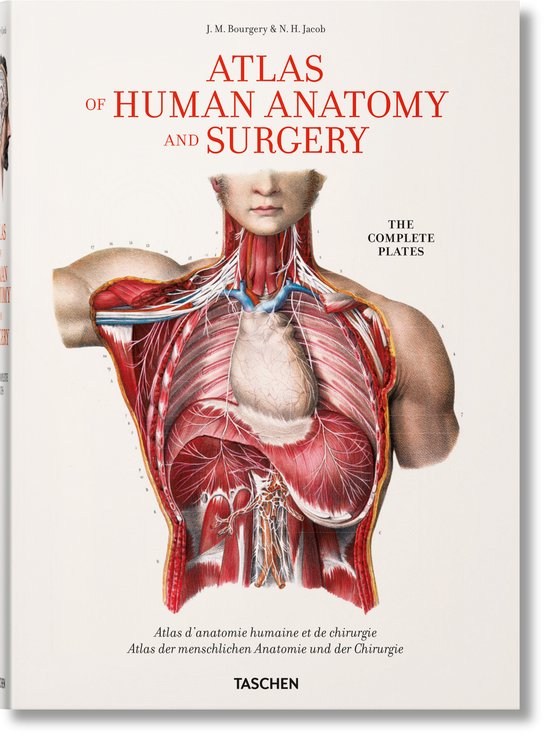 Bourgery. Atlas of Human Anatomy and Surgery - cover