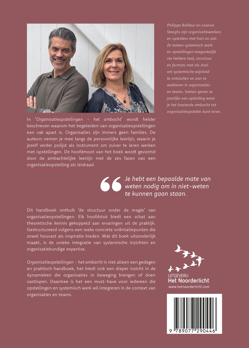 Organisatieopstellingen - het ambacht - back cover