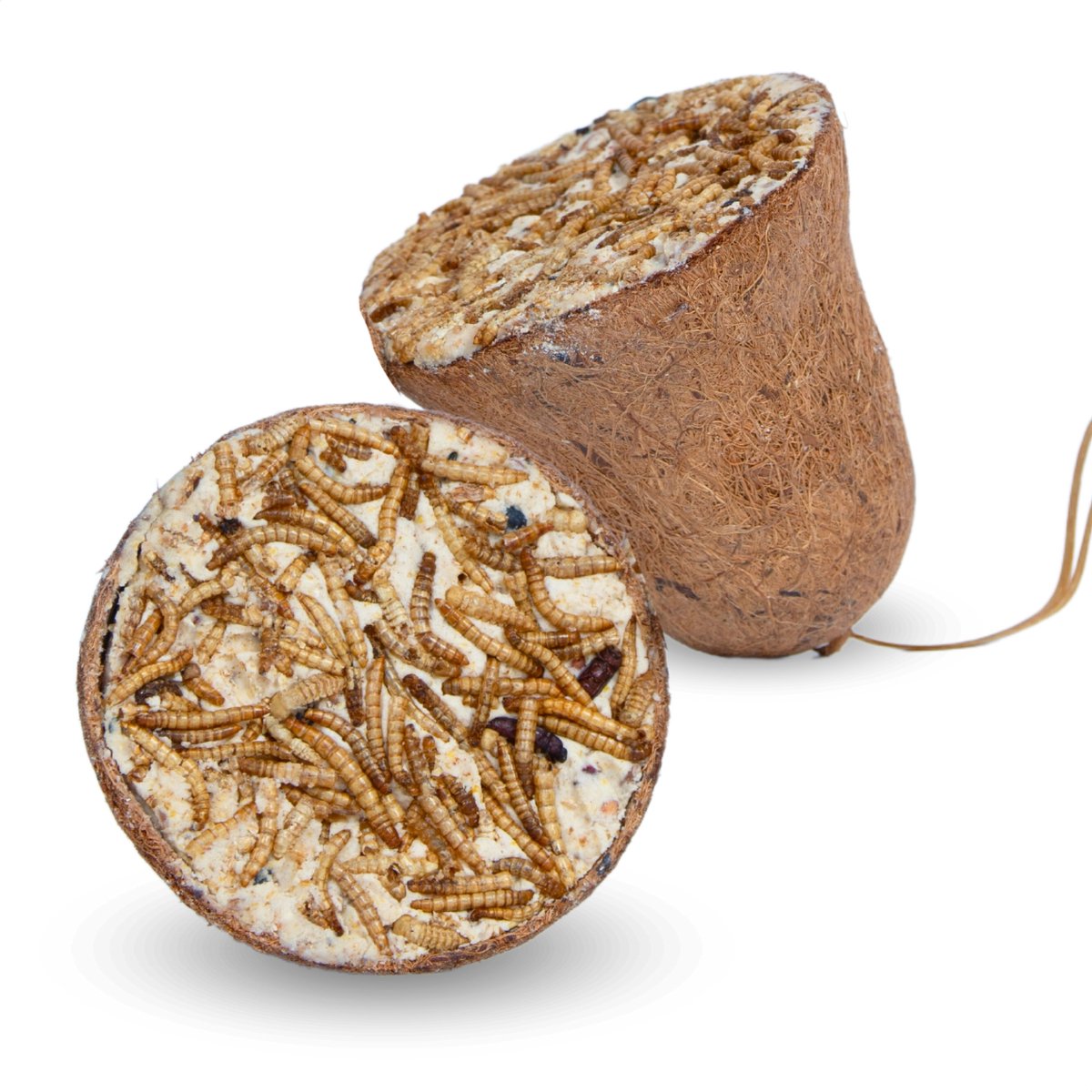 3 x 8 st. Lyra Pet® Protein Boost voerbak met meelwormen