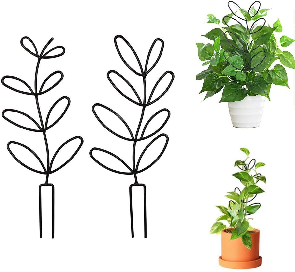 Ibenzoa® Robuust Metaal Klimframe voor Kamerplanten en Tuinplanten – 2 Stuks