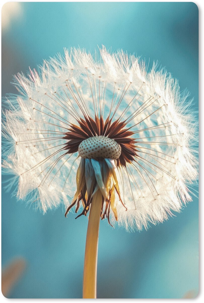Muismat 18x27 cm - Mousepad Paardenbloem - Natuur - Bloemen - Blauw - Muismatten