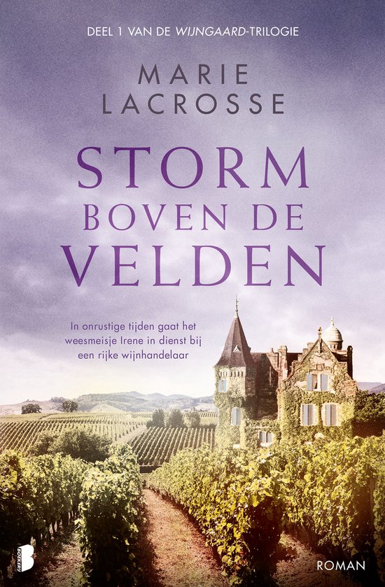 Wijngaard 1 - Storm boven de velden - cover