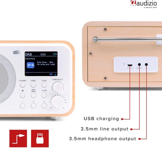 DAB radio met wit front en houten kast, achterkant met aansluitingen: DC IN 5V, LINE OUT, koptelefoon.