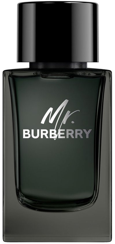 Burberry Mr. Burberry Eau de Parfum Herenparfum 150 ml