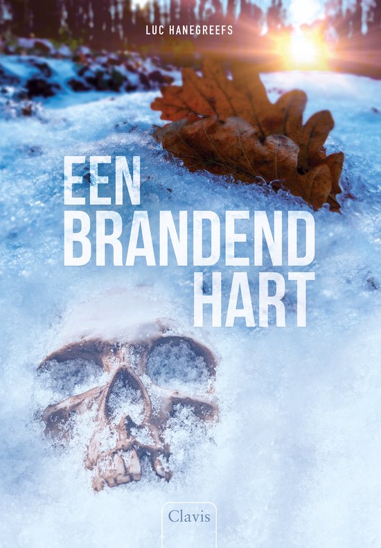 Een brandend hart - cover