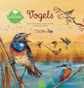 Willewete - Vogels