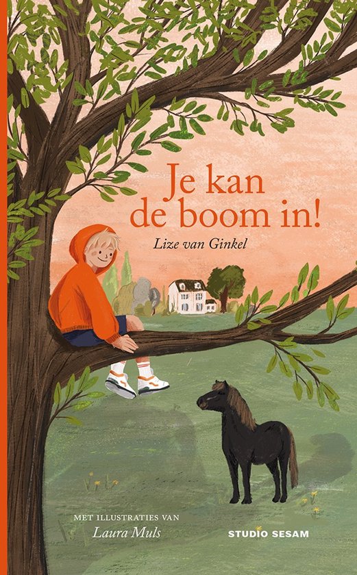 Je kan de boom in! - cover