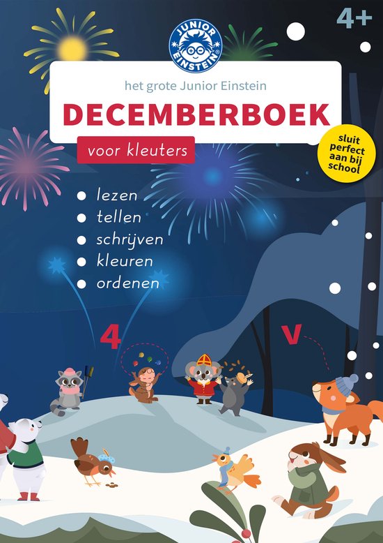 Het Grote Junior Einstein Decemberboek - cover