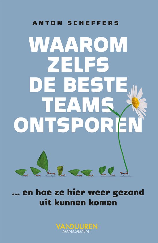 Waarom zelfs de beste teams ontsporen - cover