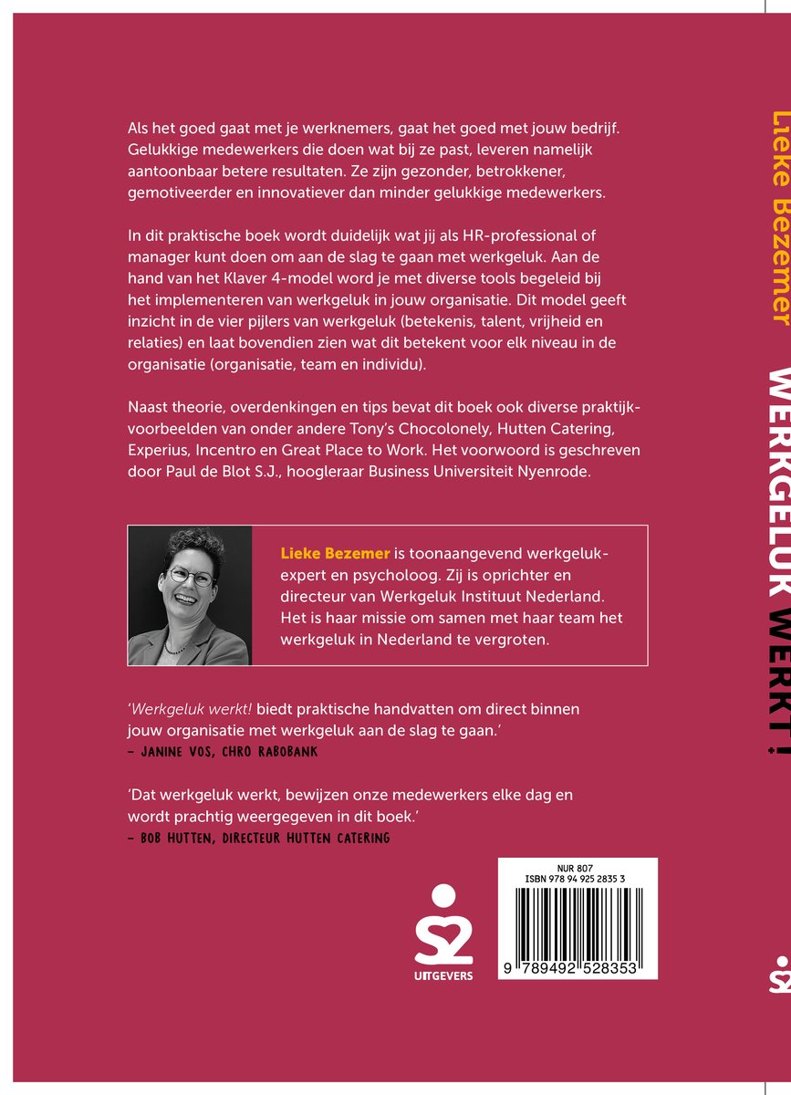 Achterkant boek 'Werkgeluk werkt!' met tekst over de inhoud en auteur Lieke Bezemer.