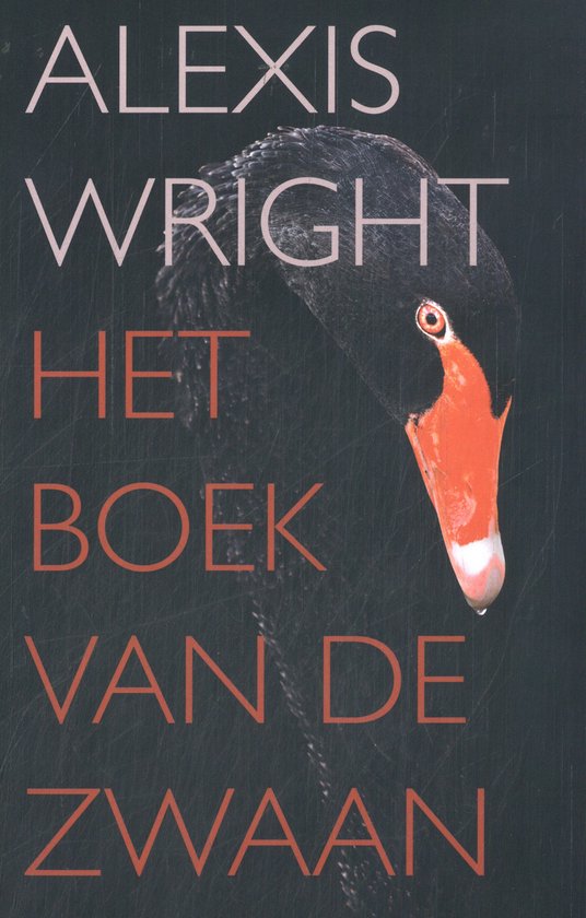 Foto: Het boek van de zwaan