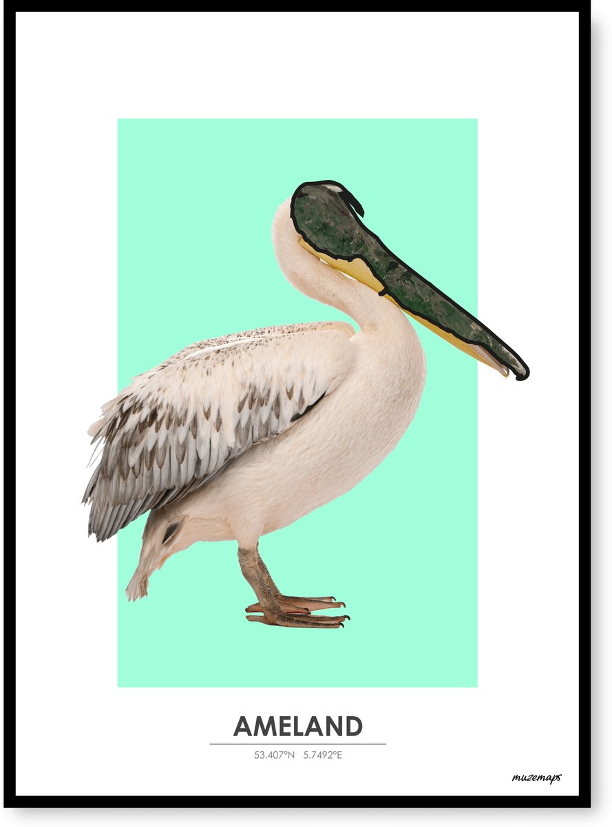 Poster Ameland - Handgemaakte stadskaart - Pop-Art Design - B2 (50 x 70 cm) - MuzeMaps