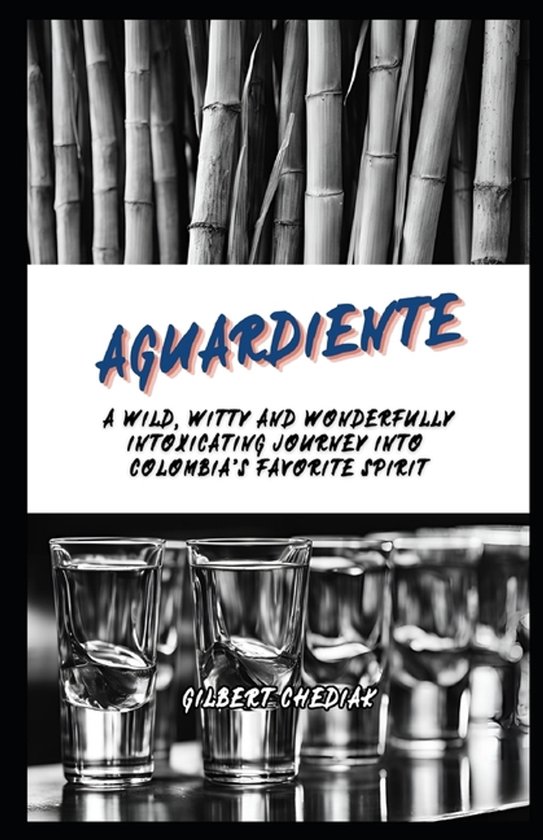 Beginner's Guide- Aguardiente - cover